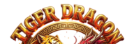 dragontigersclub